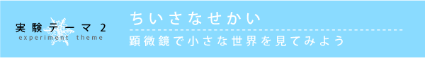 実験テーマ2 ちいさなせかい