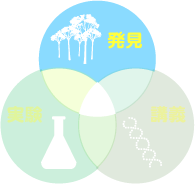 子どもたちの発見の教室