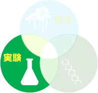 子どもとお父さんの実験の教室