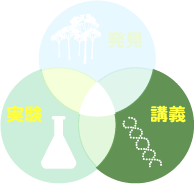 お父さんのための科学者の講義