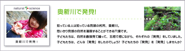 奥新川で発見！