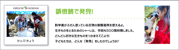 顕微鏡で発見！