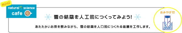 雪の結晶を人工的につくってみよう！