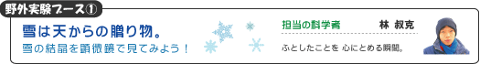 雪は天からの贈り物。　　雪の結晶を顕微鏡で見てみよう ！