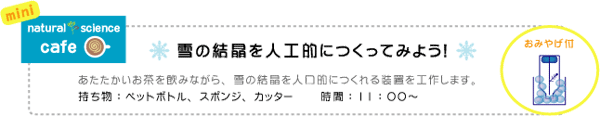 サイエンスカフェ　雪の結晶を人工的につくってみよう！