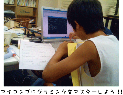 yattemiyou_20110818.gif