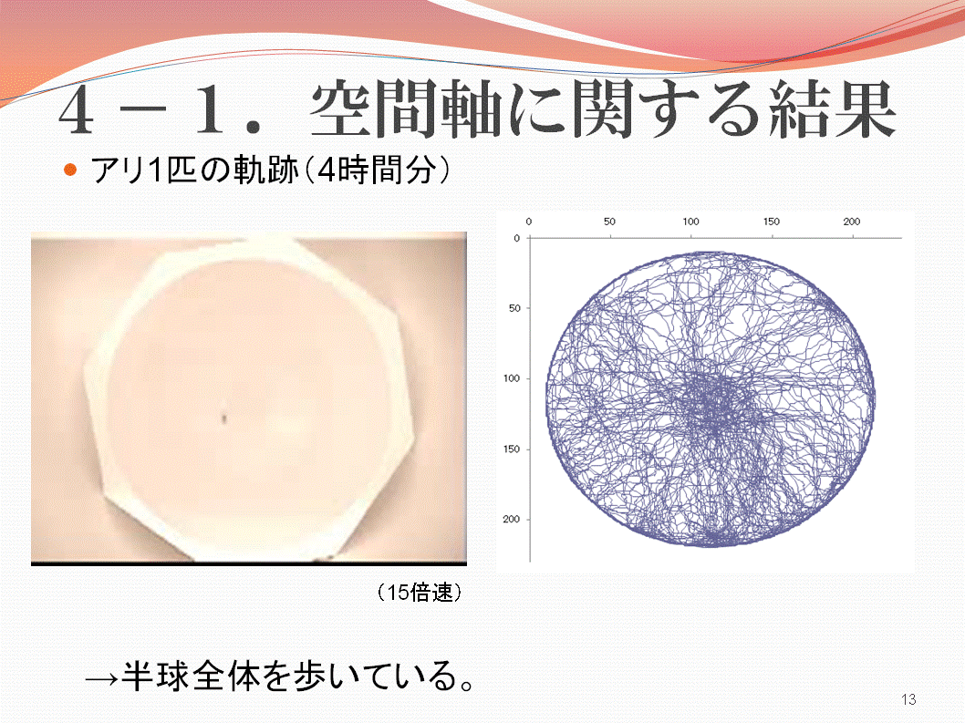 ４．結果・考察