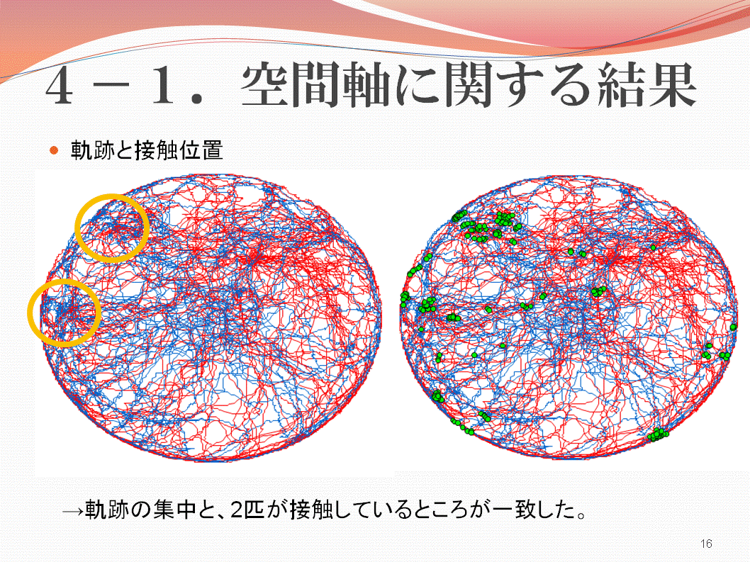 ４．結果・考察