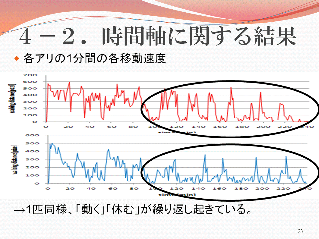 ４．結果・考察