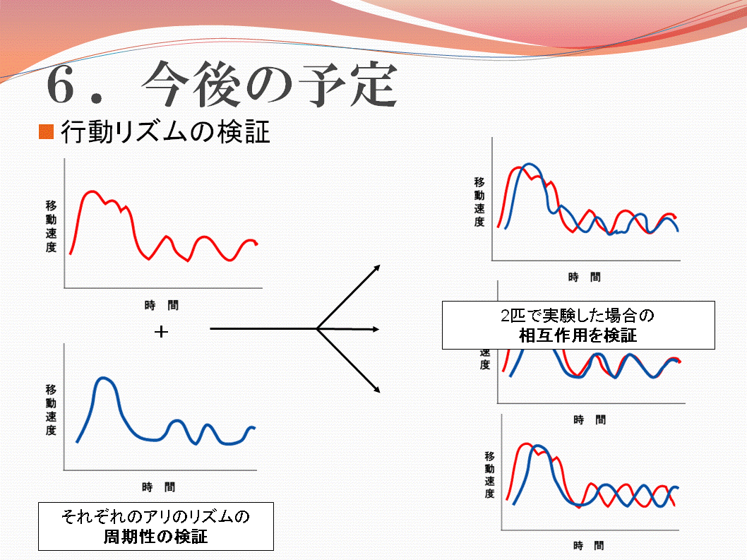 ６．今後の予定